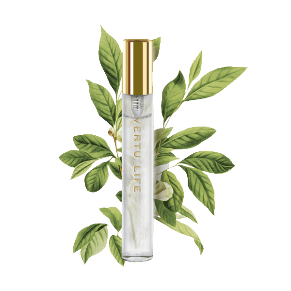 Vertu The Sanctuary Perfume Dark Night